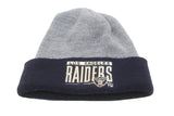 Vintage Los Angeles Raiders Hat