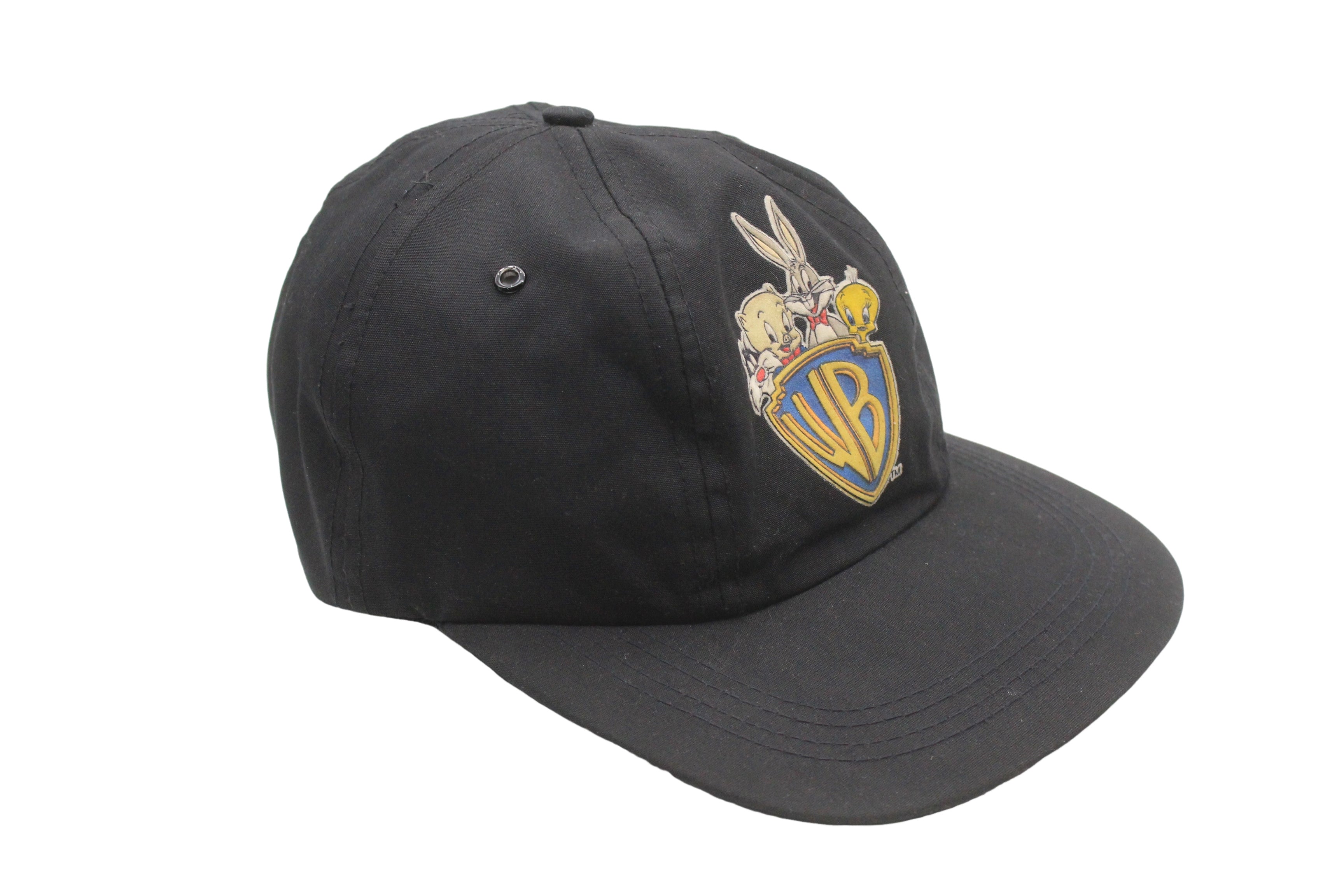 Warner Bros Motion Picture Studio Cap Motion Picture Co. Cap – BORN RIVAL main image 2