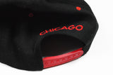 Vintage Chicago Cap