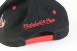 Vintage Chicago Bulls Cap