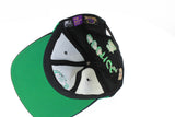 Vintage Boston Celtics Starter Cap