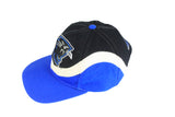 Vintage Panthers Carolina Apex One Cap
