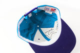 Vintage Charlotte Hornets Cap