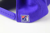 Vintage Toronto Raptors Cap