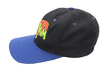 Vintage Space Jam 1996 Cap