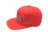 Vintage Chicago Bulls Starter Cap