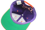 Vintage Phoenix Suns Cap