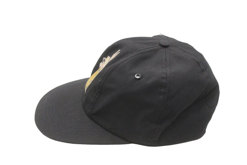 Vintage Warner Bros Cap