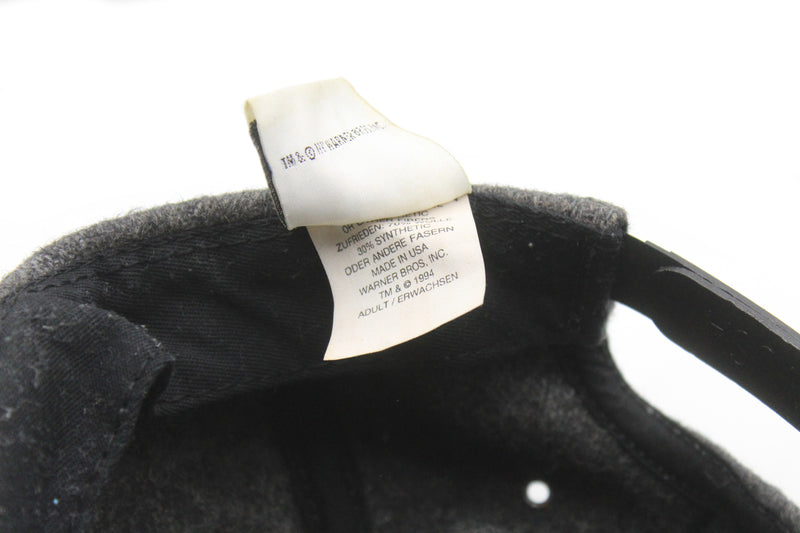 Vintage Looney Tunes Warner Bros Cap