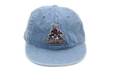 Vintage Phoenix Coyotes Cap Small