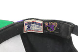 Vintage Charlotte Hornets Starter Cap