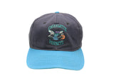 Vintage Charlotte Hornets Cap