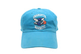 Vintage Charlotte Hornets Starter Cap