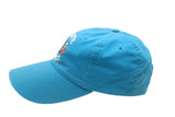 Vintage Charlotte Hornets Starter Cap