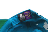 Vintage Charlotte Hornets Starter Cap