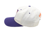 Vintage Phoenix Suns Cap