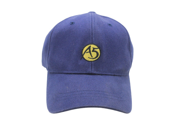 Vintage The North Face A5 Series Cap