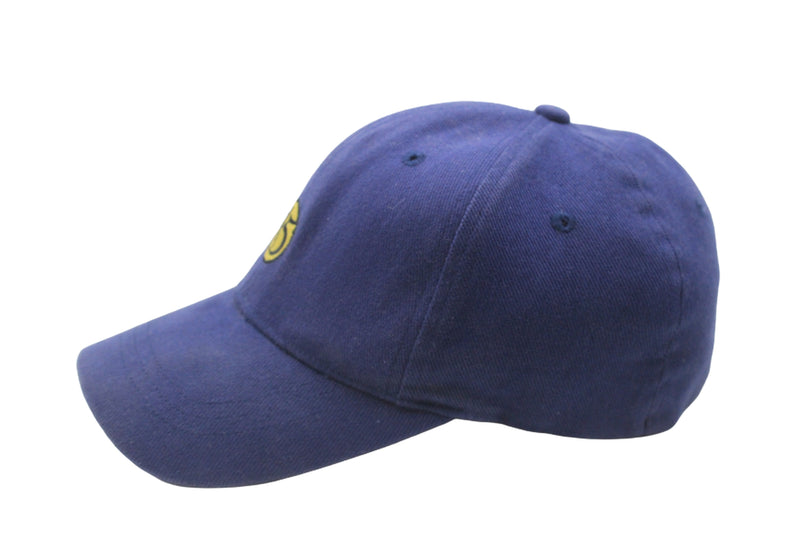 Vintage The North Face A5 Series Cap