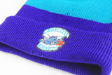 Vintage Charlotte Hornets Hat