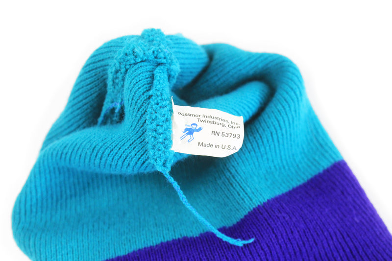 Vintage Charlotte Hornets Hat