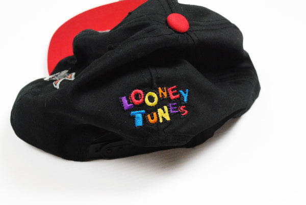 Vintage Looney Tunes 1997 Warner Bros Cap