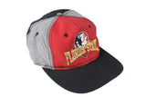 Vintage Florida State Seminoles Cap 90's style University style sport authentic athletic big logo summer hat wear