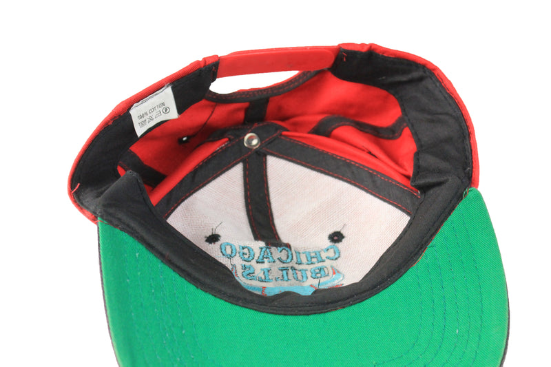 Vintage Chicago Bulls Cap