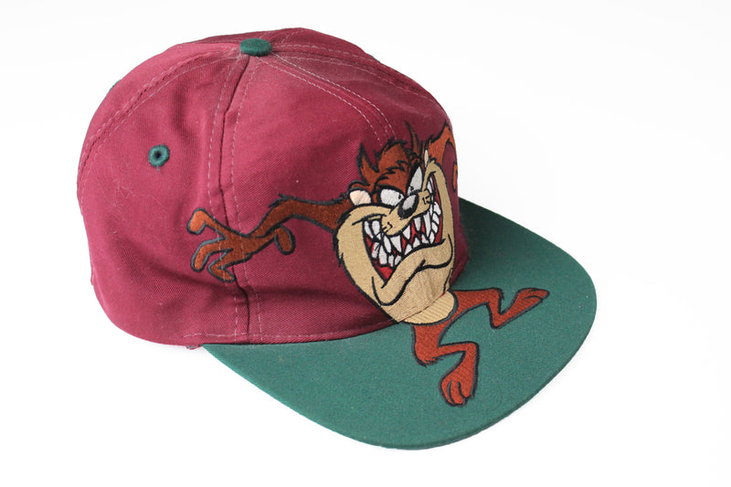 Vintage Taz Looney Tunes Cap Warner Bros purple green 90s cartoon hat