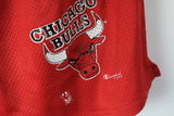 Vintage Chicago Bulls Champion Shorts XLarge