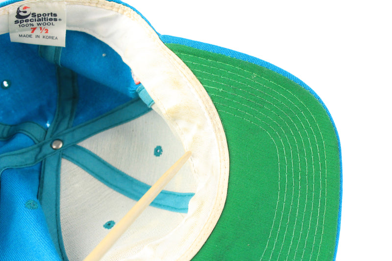 Vintage Charlotte Hornets Cap